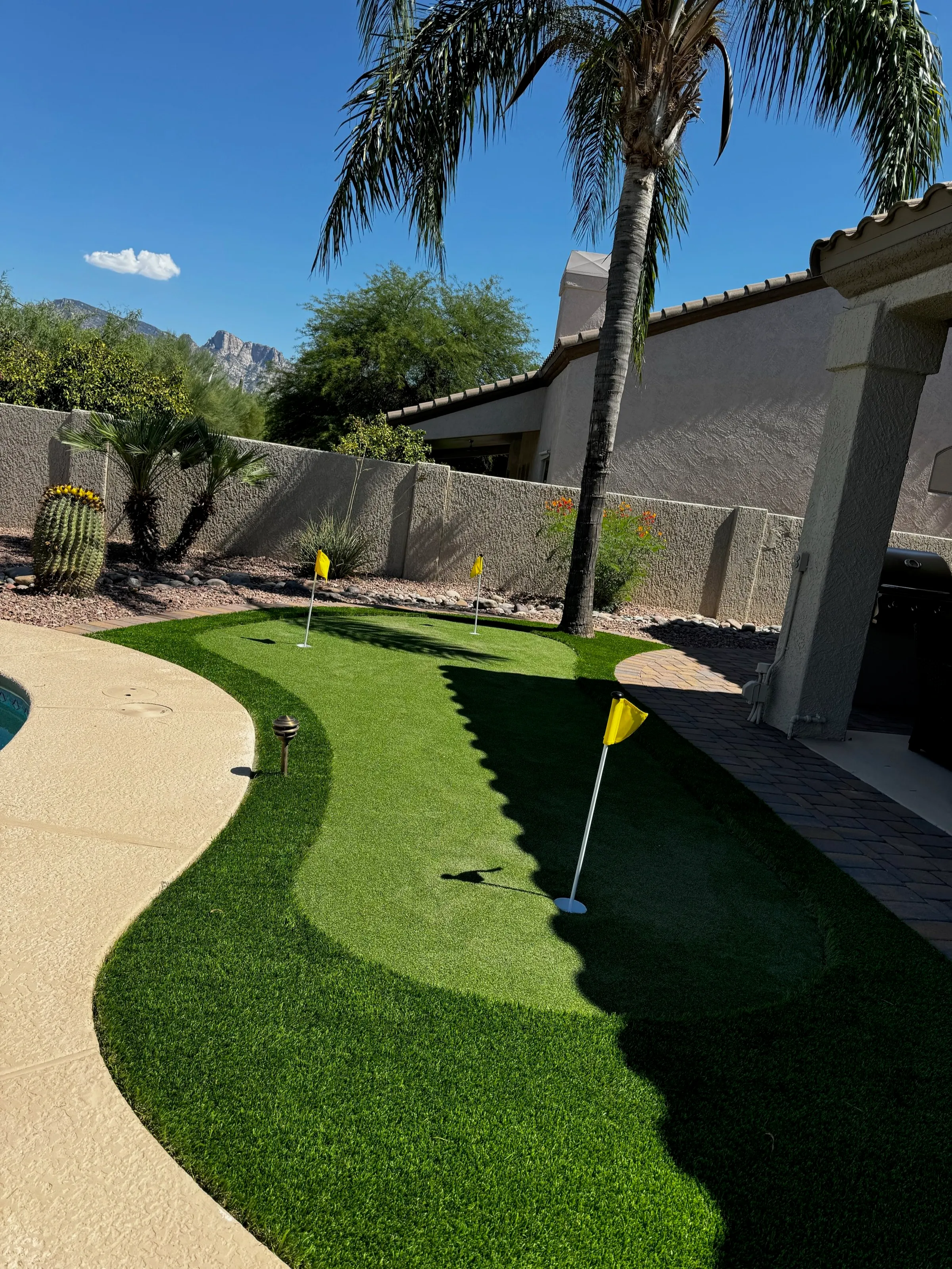 Artificial turf putting green with yellow flags beside a pool deck and palm tree in Arizona.